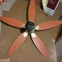 ventilatore da soffitto con luce