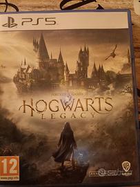 Hogwarts Legacy ps5