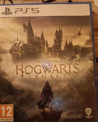 Hogwarts Legacy ps5