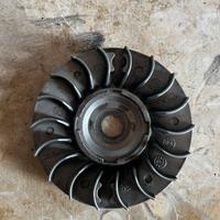 Semi-pulegia malossi piaggio