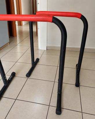 Parallele SportPlus per dips e calisthenics