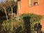 Immagine 12
