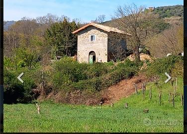 Esclusivo Casale in pietra e terreno