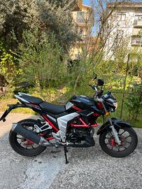 Senke SK125 - 2019