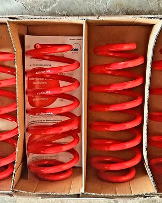 molle eibach sportline