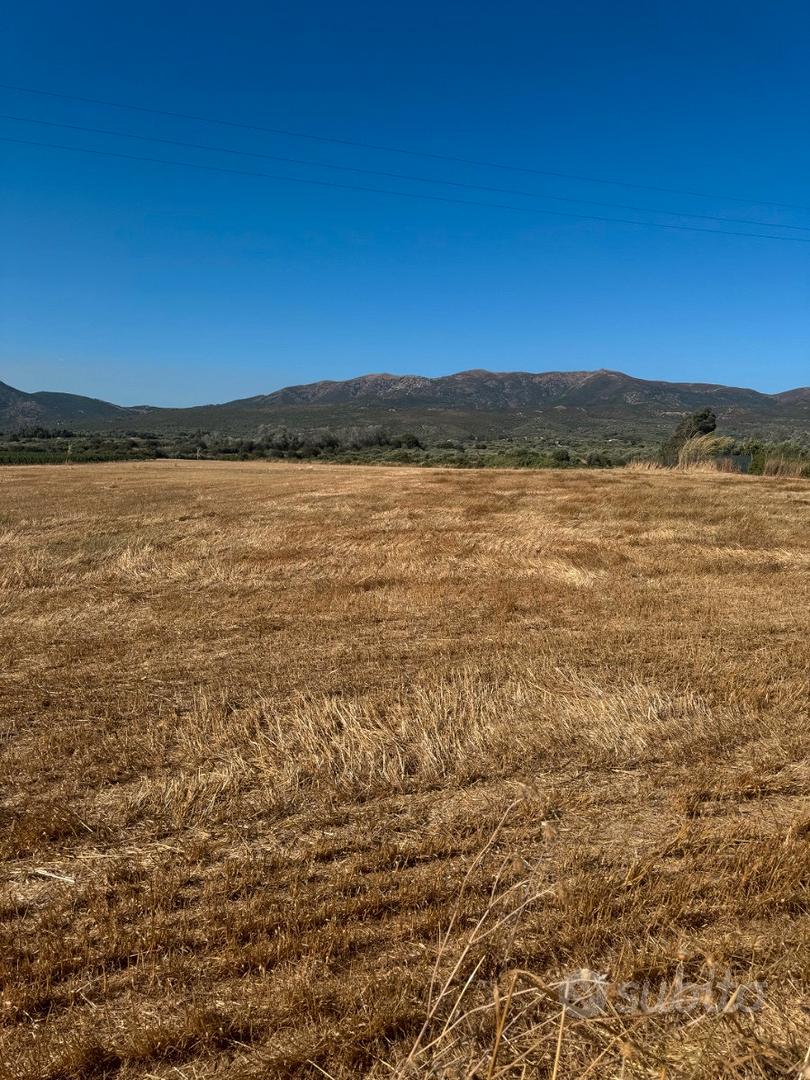 DOLIANOVA: Terreno recintato zona tranquilla - Vista 2