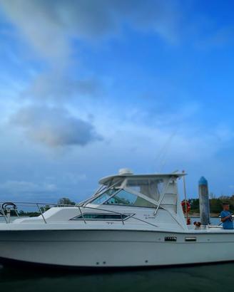 Wellcraft Coastal 2800