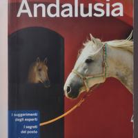 Guida Lonely Andalusia