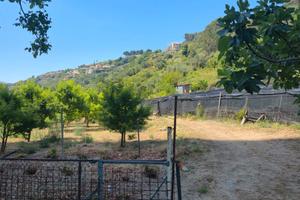 Terreni