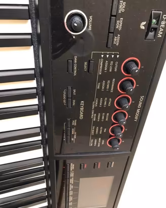 ROLAND FA 08 WORKSTATION 88 TASTI PESATI 