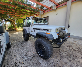 Jeep yj 4.0 ho