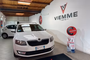 Skoda Octavia 1.6 TDI CR 105 CV Wagon Elegance
