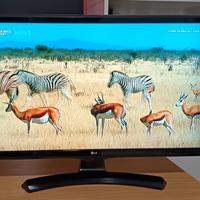 Tv Monitor LG HD 24 pollici come nuovo