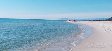 Ultime disponibilita'