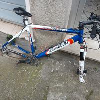 bicicletta mtb fulldinamix  forcella marzocchi 