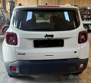 RICAMBI RENEGADE DEL 2022 CC 1300 IBRIDO 46337540