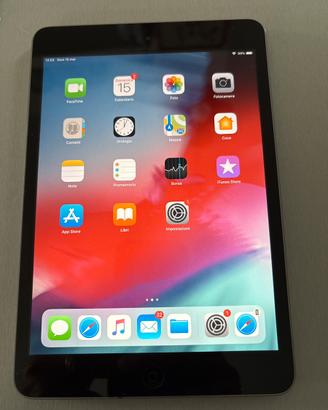 iPad Mini  2