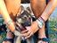 Immagine 4