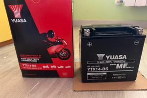 Batteria YUASA YTX14-BS