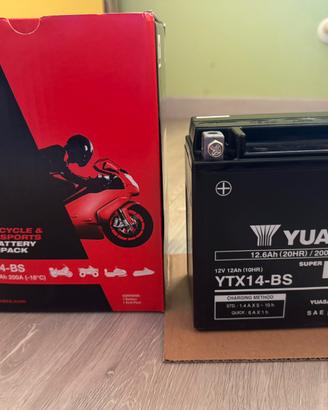 Batteria YUASA YTX14-BS