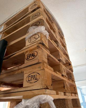 Europallet 120x80
