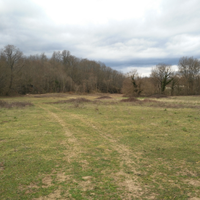 Terreno Oriolo Romano