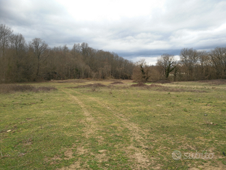 Terreno Oriolo Romano