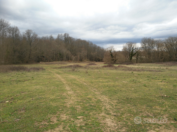 Terreno Oriolo Romano