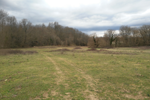 Terreno Oriolo Romano