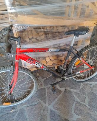 mountain bike bambini / ragazzi 