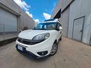 fiat-doblo-trasporto-disabili-tetto-alto
