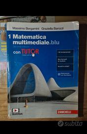 matematica multimediale.blu 1