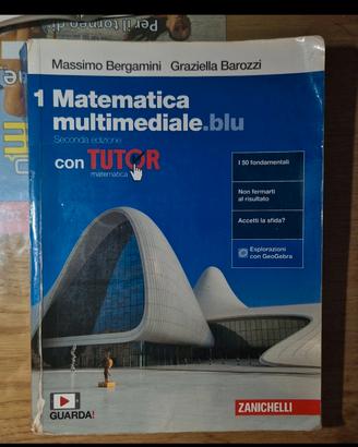 matematica multimediale.blu 1