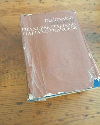 dizionario di lingua francese 