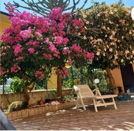 Libero dal 29 AGOSTO