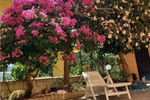 Libero dal 29 AGOSTO