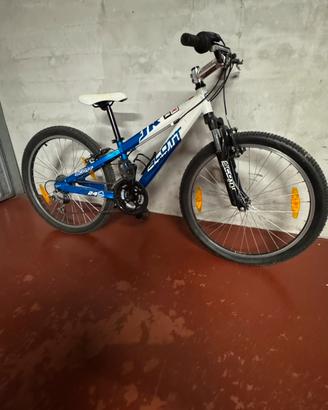 Scott Racing  mountain bike 24 pollici anni 8-12