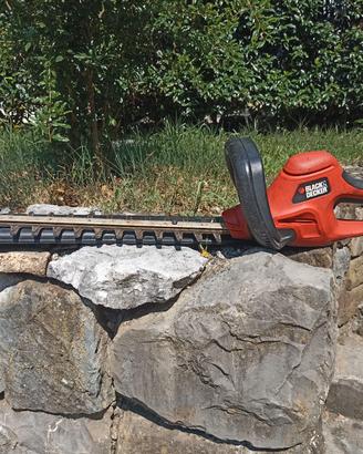 TAGLIA SIEPI BLACK DECKER GT 6030 TYPE 1