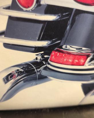 HARLEY-DAVIDSON 59776-10 LUCE PARAFANGO TOURING