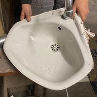 2 Lavandini Angolari