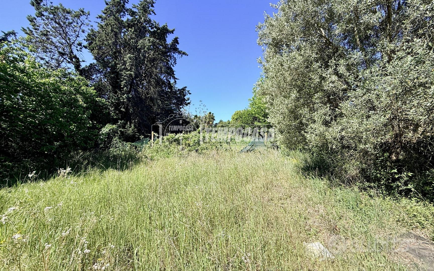 Terreno di 700 mq pianeggiante - Vista 4
