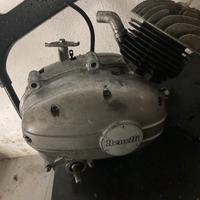 Benelli mini bike