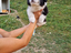 Immagine 12