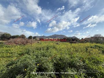 Terreno, Cruillas - San Giovanni Apostolo, Palermo