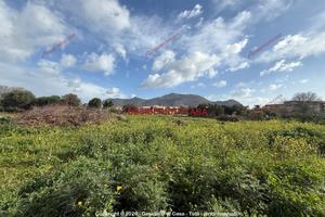 Terreno, Cruillas - San Giovanni Apostolo, Palermo
