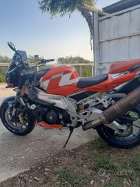 Aprilia tuono
