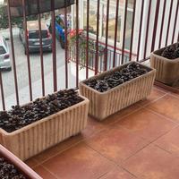 Vasi da Giardino rettangolari 33x66x25