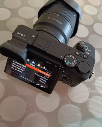 Sony A6600
