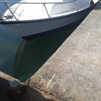 Pilotina da pesca con motore Ford entrobordo
