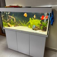 Acquario Juwel Rio 240 COMPLETO
